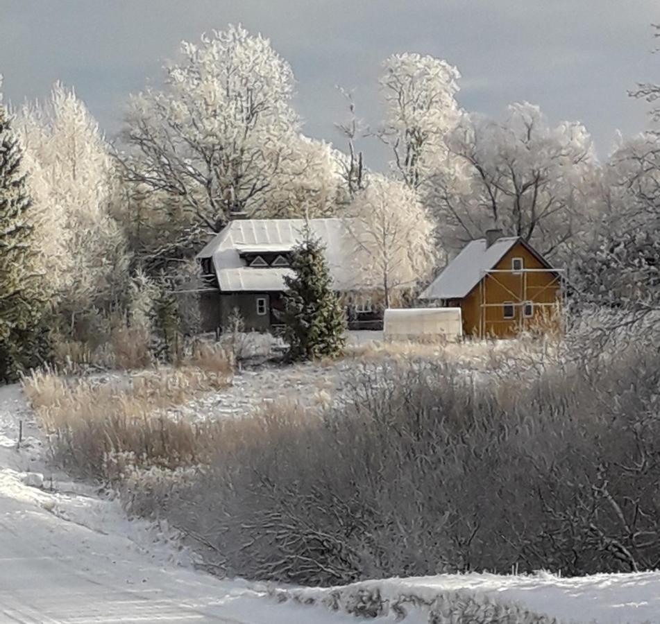 Hommik House Villa Otepää Dış mekan fotoğraf